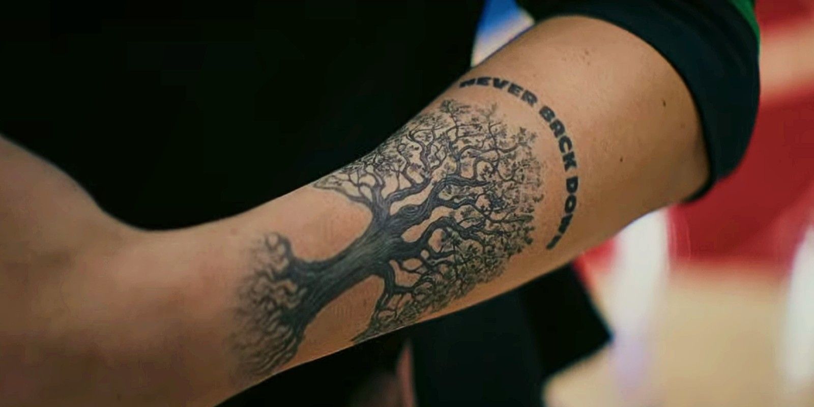 Violin tree tattoo | Tree tattoo, Old crow tattoo, Tattoos