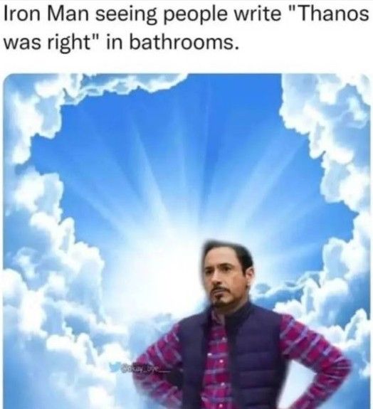 Iron Man Thanos Bathroom Meme