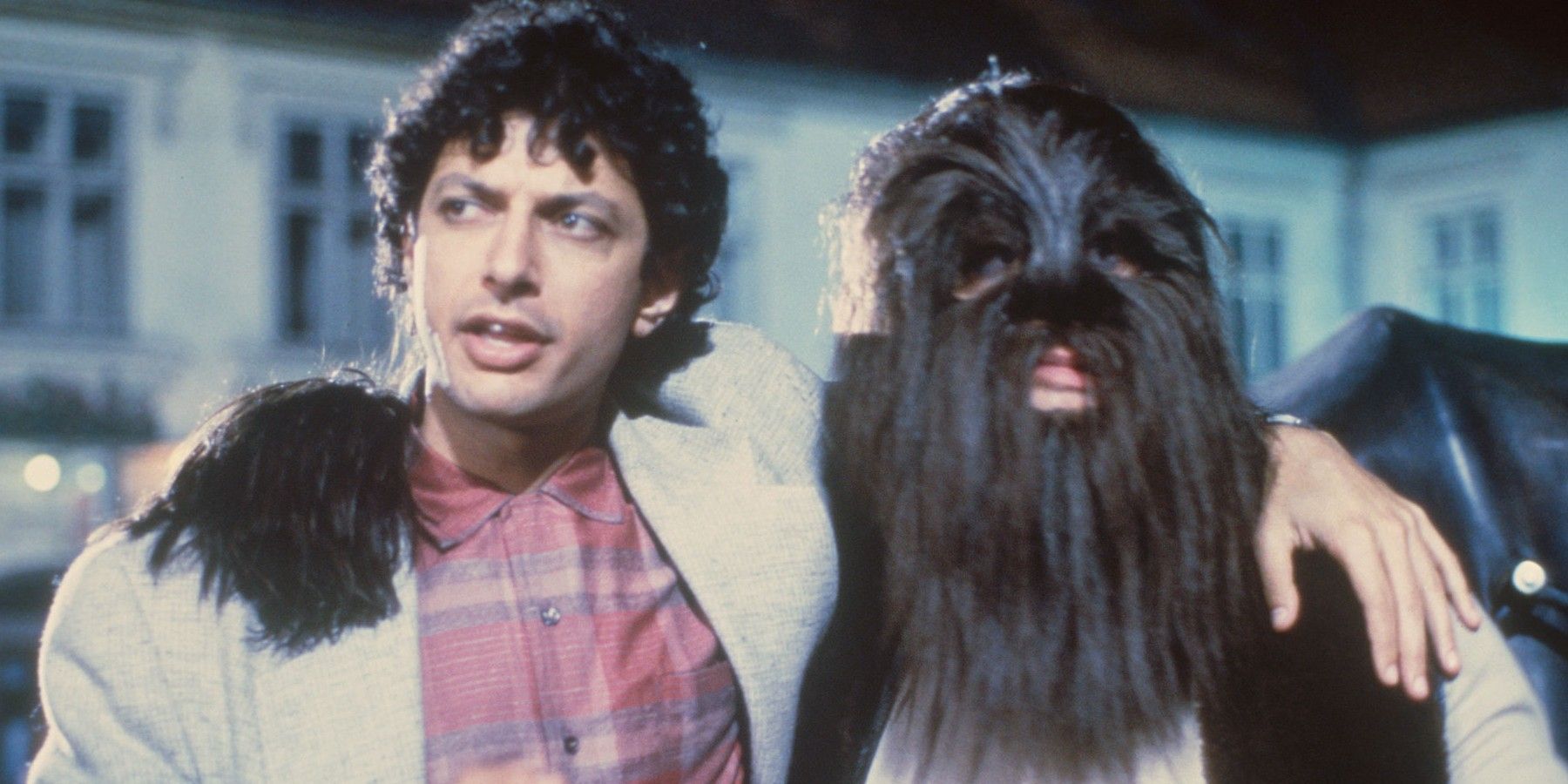 Jeff Goldblum’s 10 Best Movies, According to Ranker