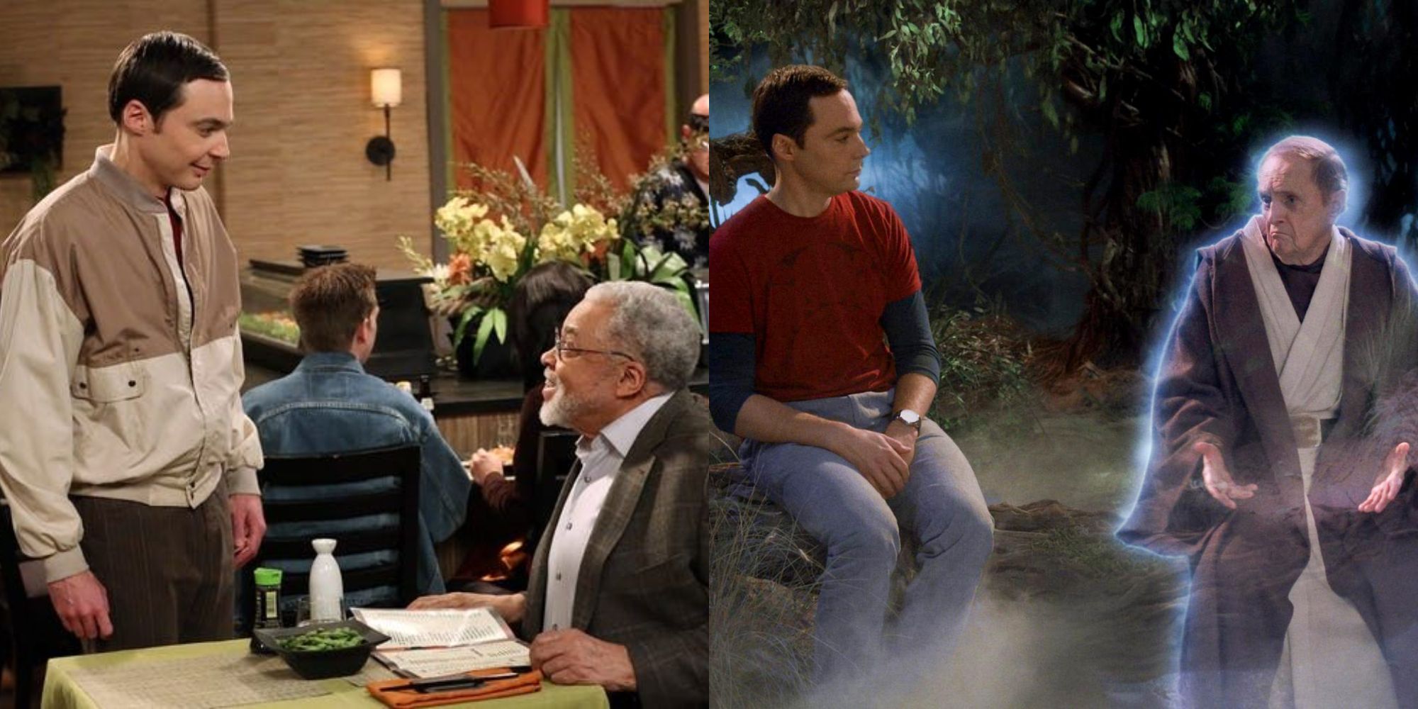 Split image showing Sheldon with James Earl Jones and Professor Proton in TBBT.