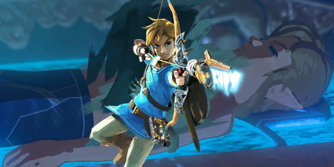 Legend Zelda Breath Wild Link Player Custom Name