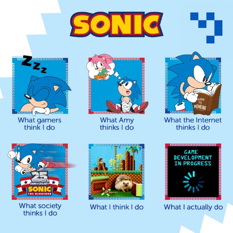Life of Sonic Meme