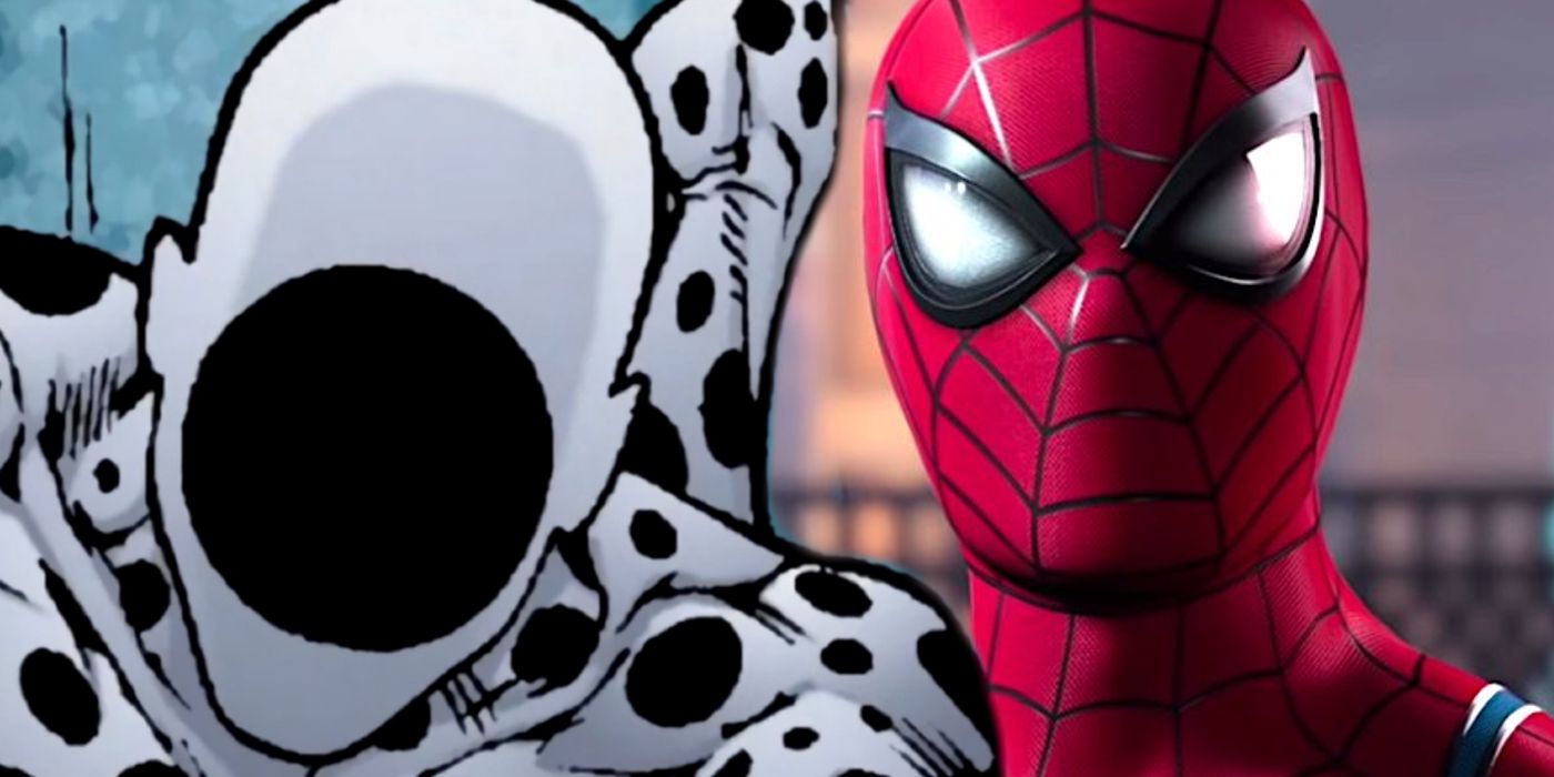 Spider-Man 2 Movies Crossover Revealed: Across the Spider-Verse