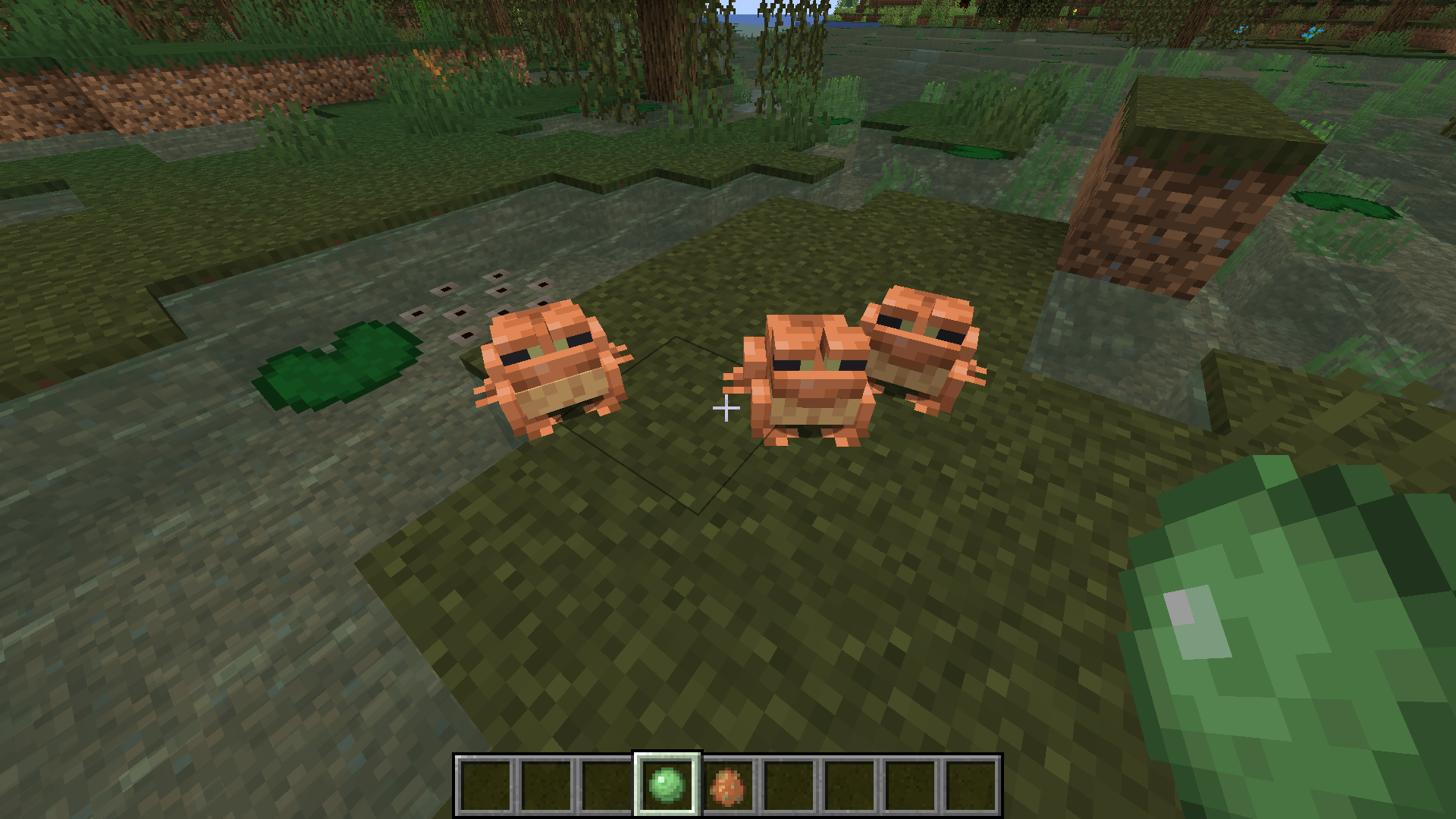 How To Breed Frogs in Minecraft