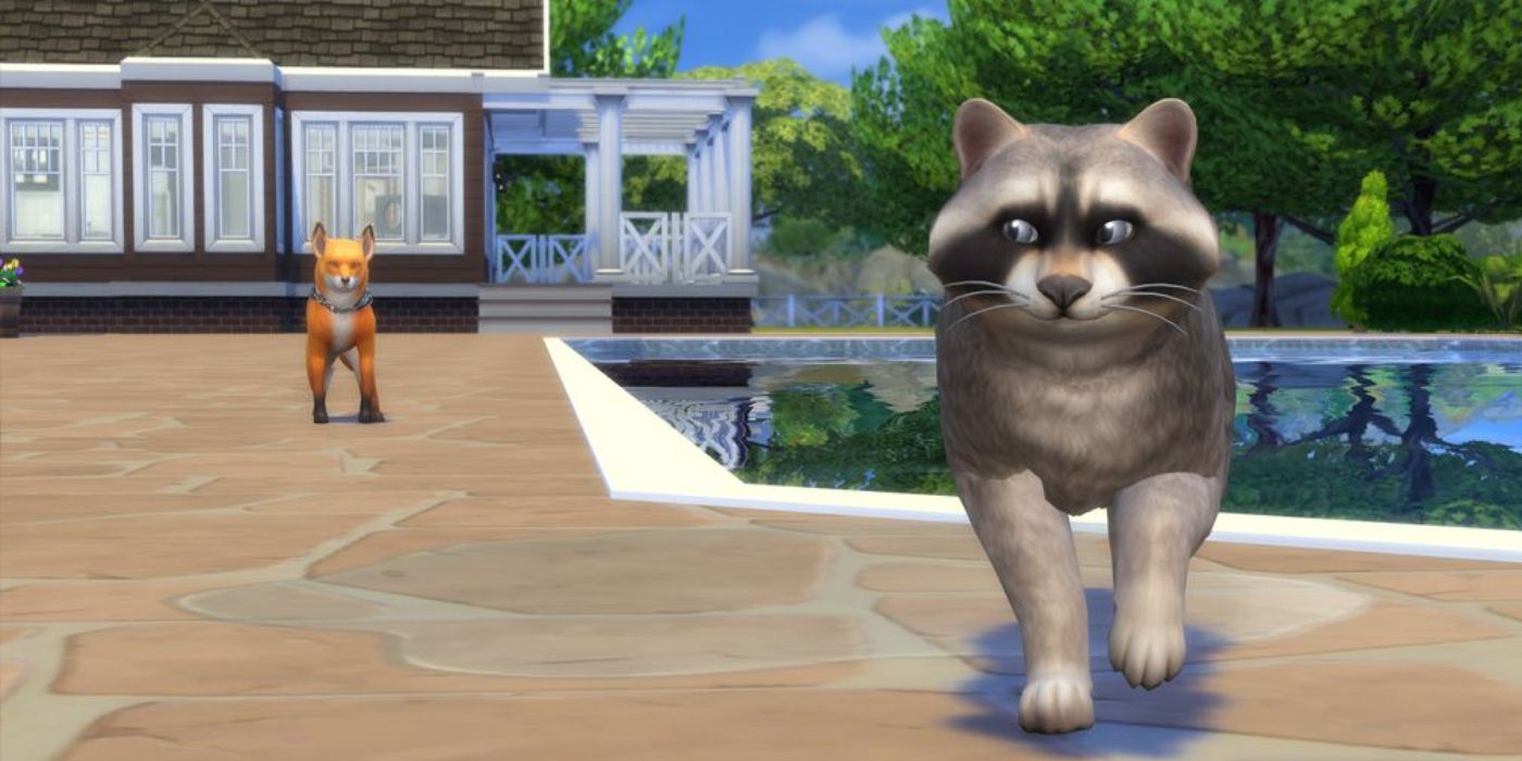 Challenge Cats &amp; Dogs Sims 4