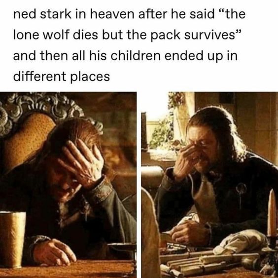 Meme about the Stark children in GOT. 