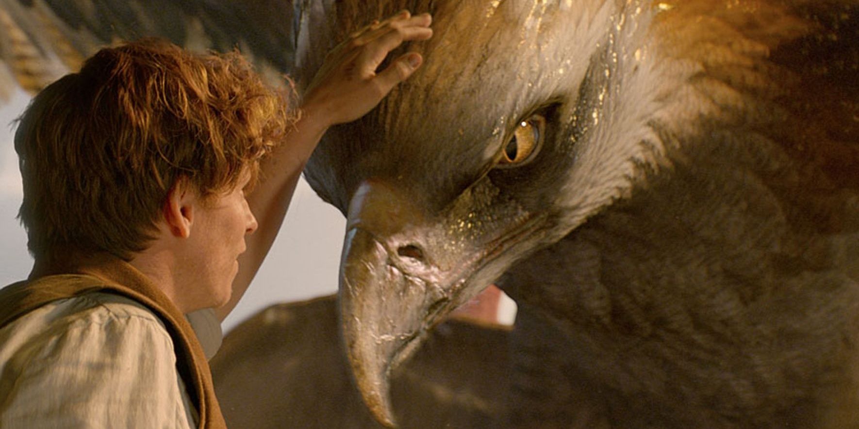 Newt Scamander pets a Thunderbird in Fantastic Beasts And Where To Find Them