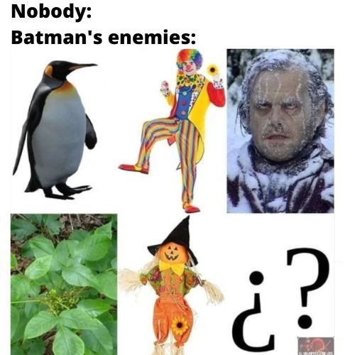 Nobody- Batman-Enemies-Meme