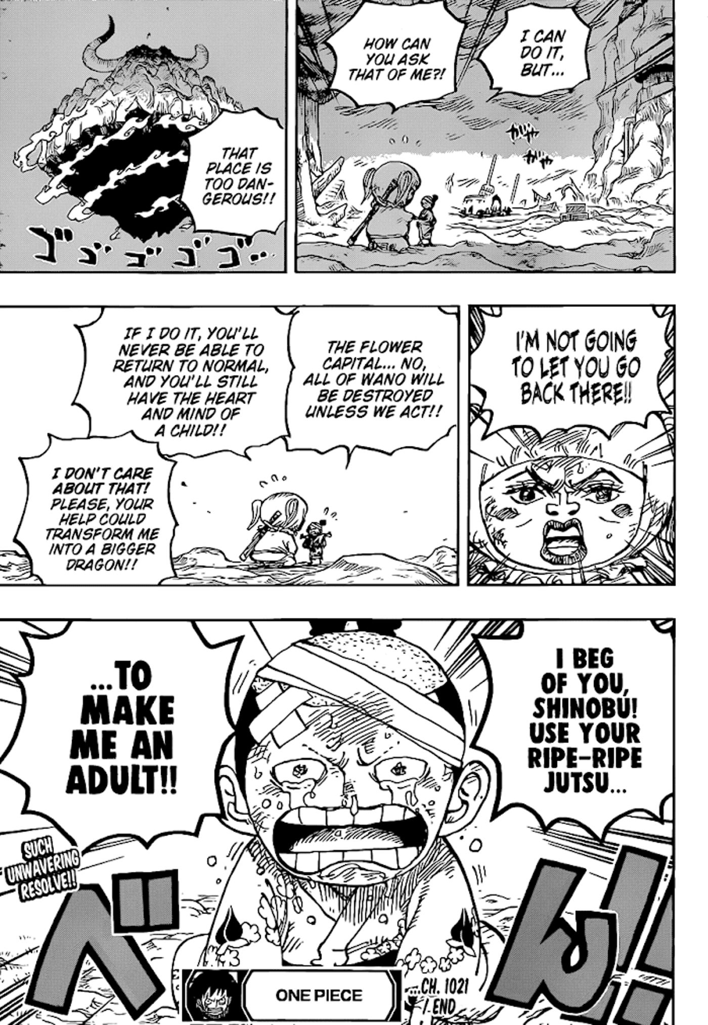 An Underrated One Piece Devil Fruit Could Have Beaten Kaido Years Ago