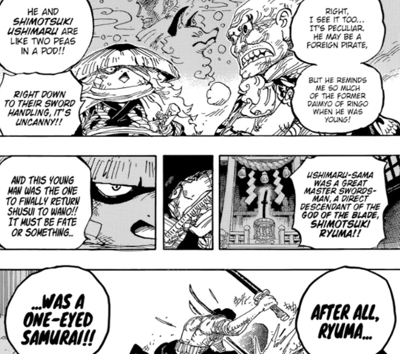 One Piece zoro manga
