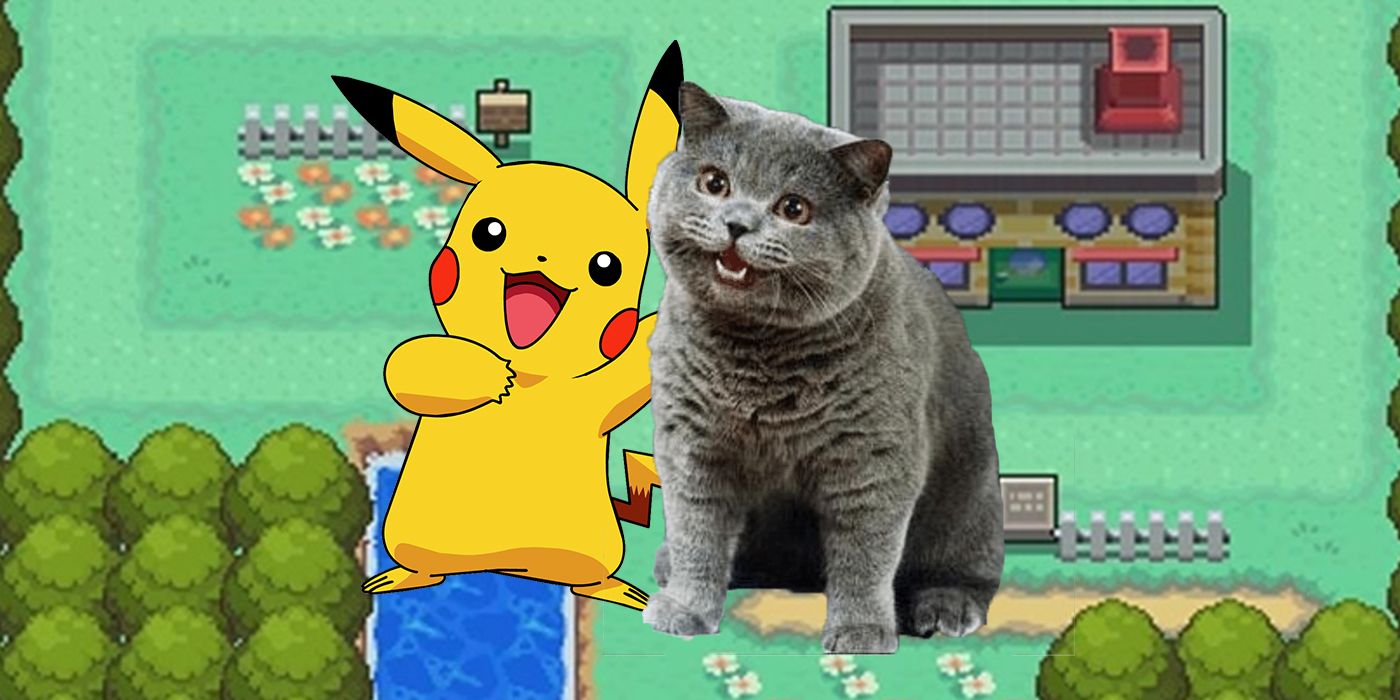 Pokemon Pikachu Cat