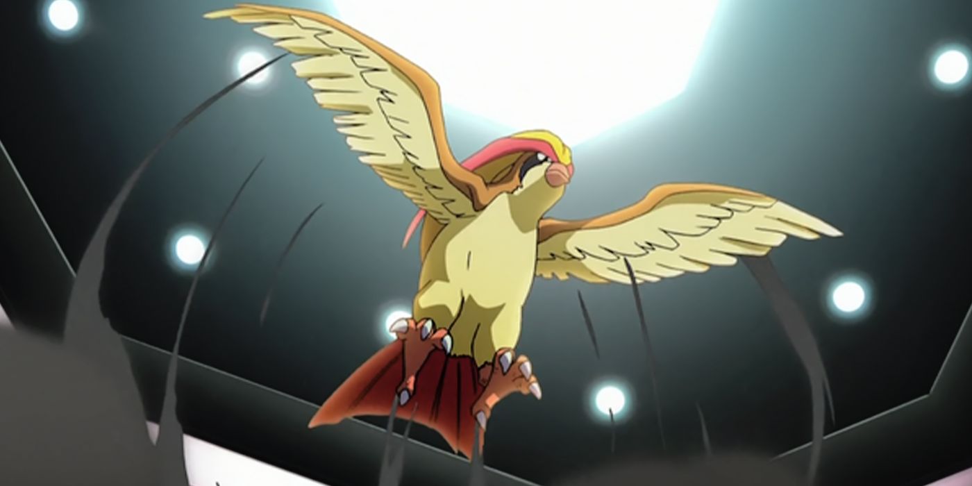 Pokemon That Eat Other Pokemon Pidgeotto