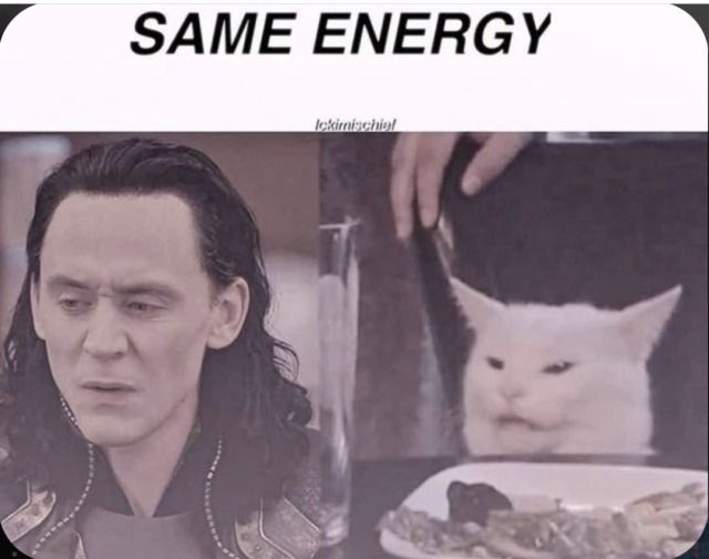 Disgusted Loki and cat