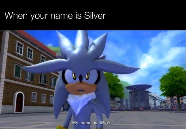 Silve Sonic