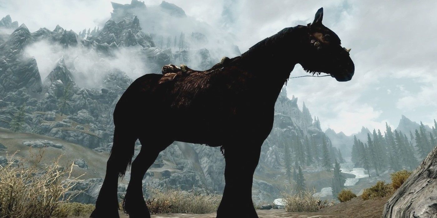 Skyrim Horses