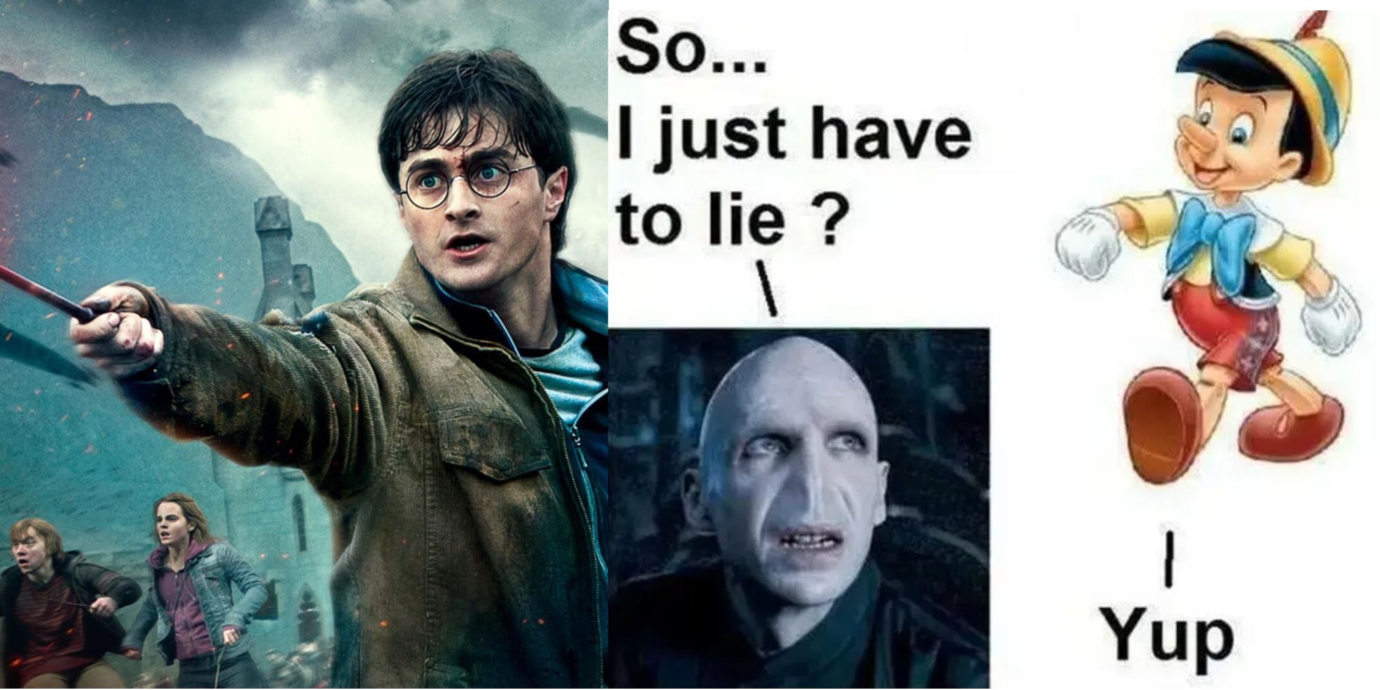 Harry Potter: 10 Memes That Perfectly Sum Up Harry And Voldemort's Rivalry