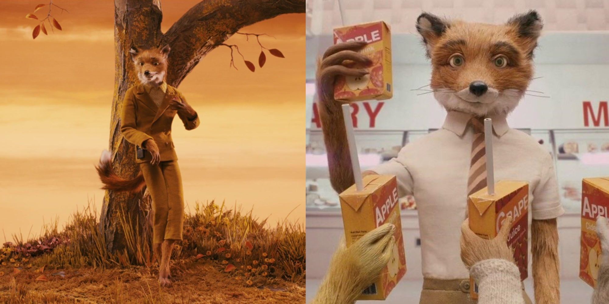 Split image of Mr Fox standing under a tree and making a toast in Fantastic Mr Fox