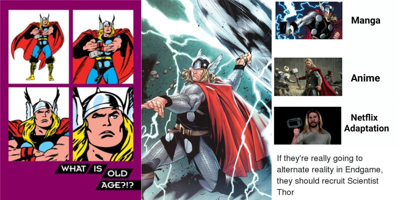 Split images of Thor memes