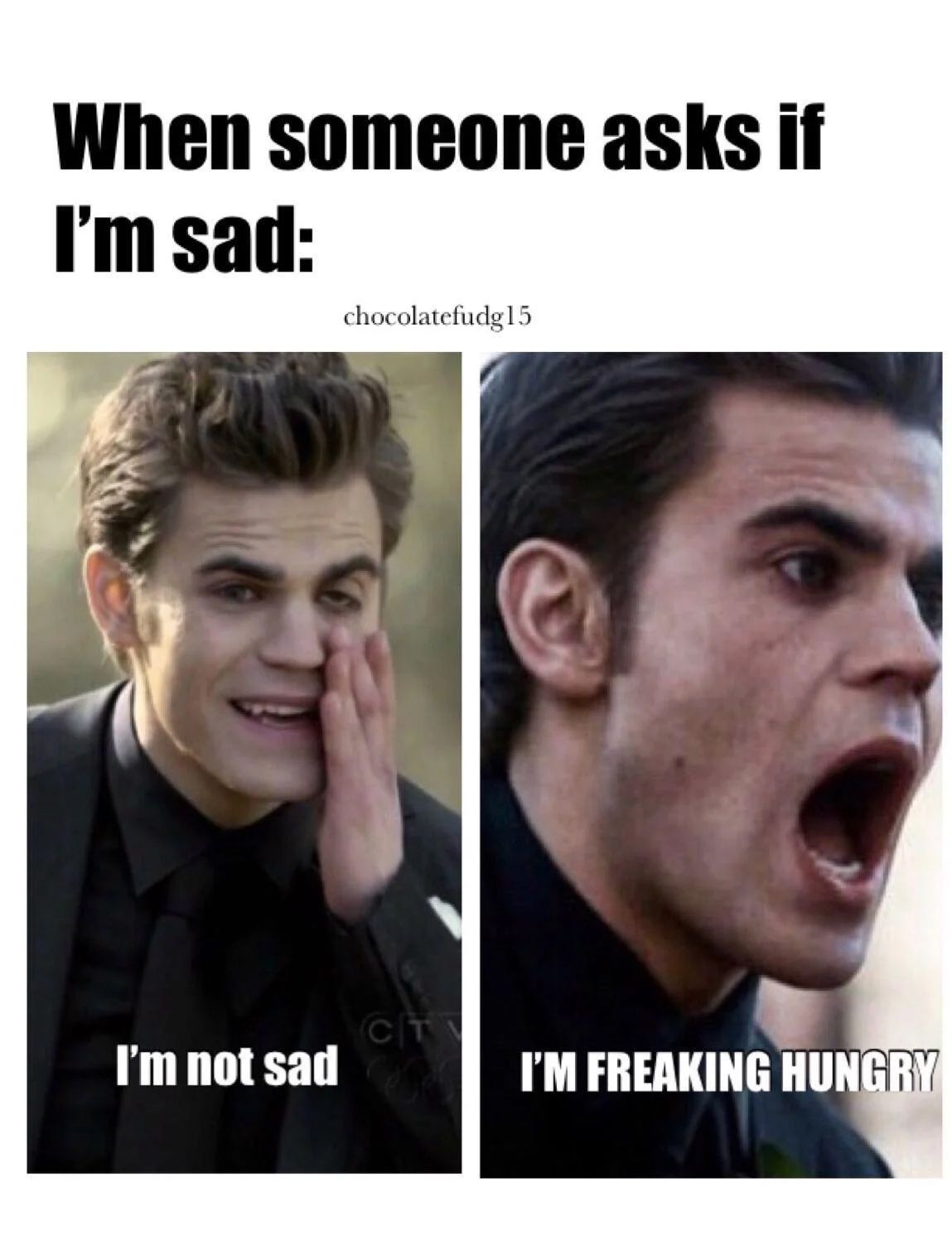 The Vampire Diaries Memes That Perfectly Sum Up Stefan As A Character