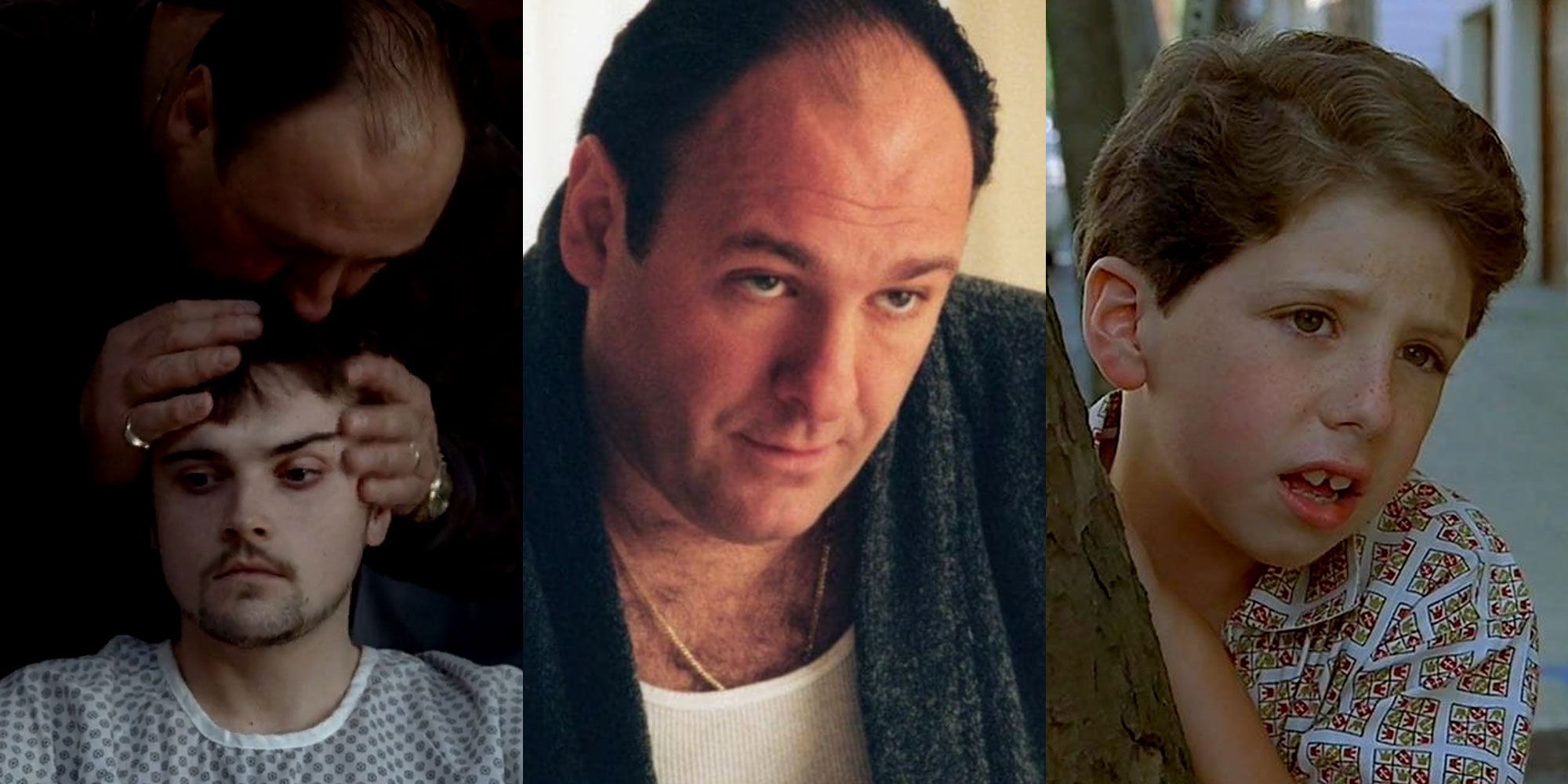 The Sopranos Tony's Most Sympathetic Moments, According To Reddit