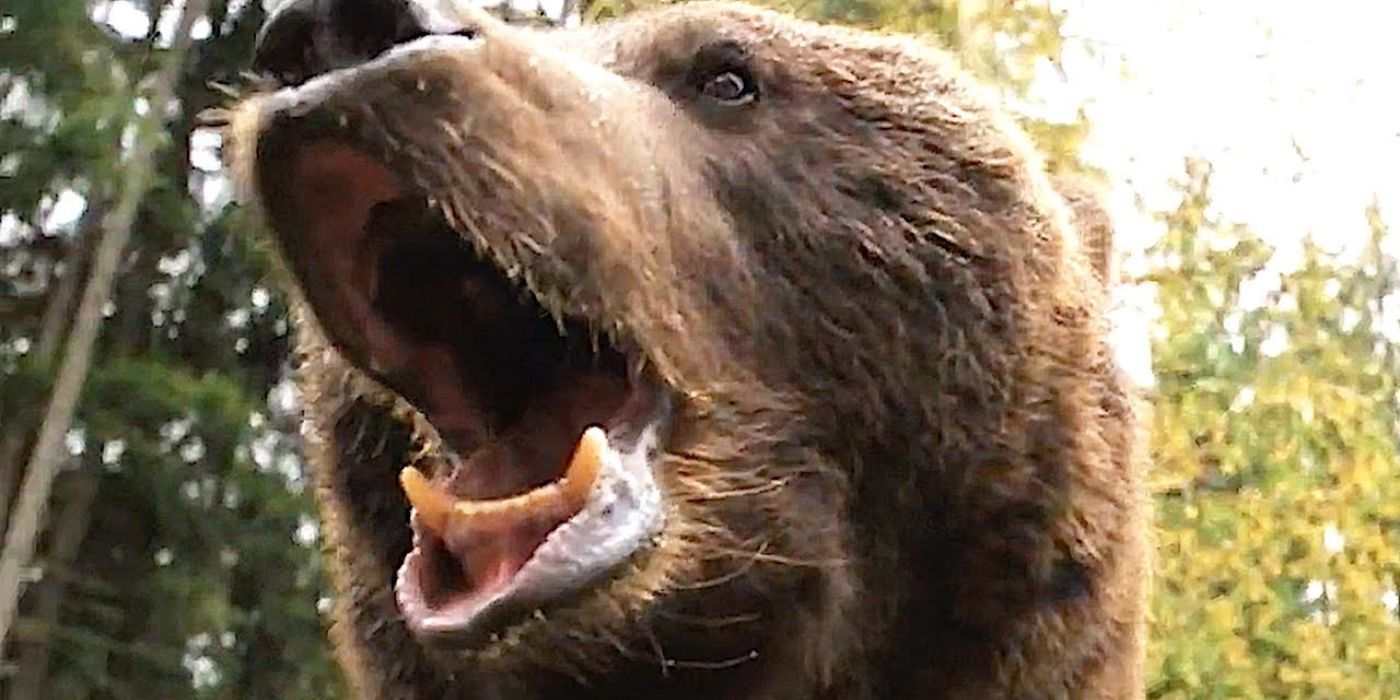 Grizzly II: Revenge — 10 Bizarre Facts About The Almost Lost Film