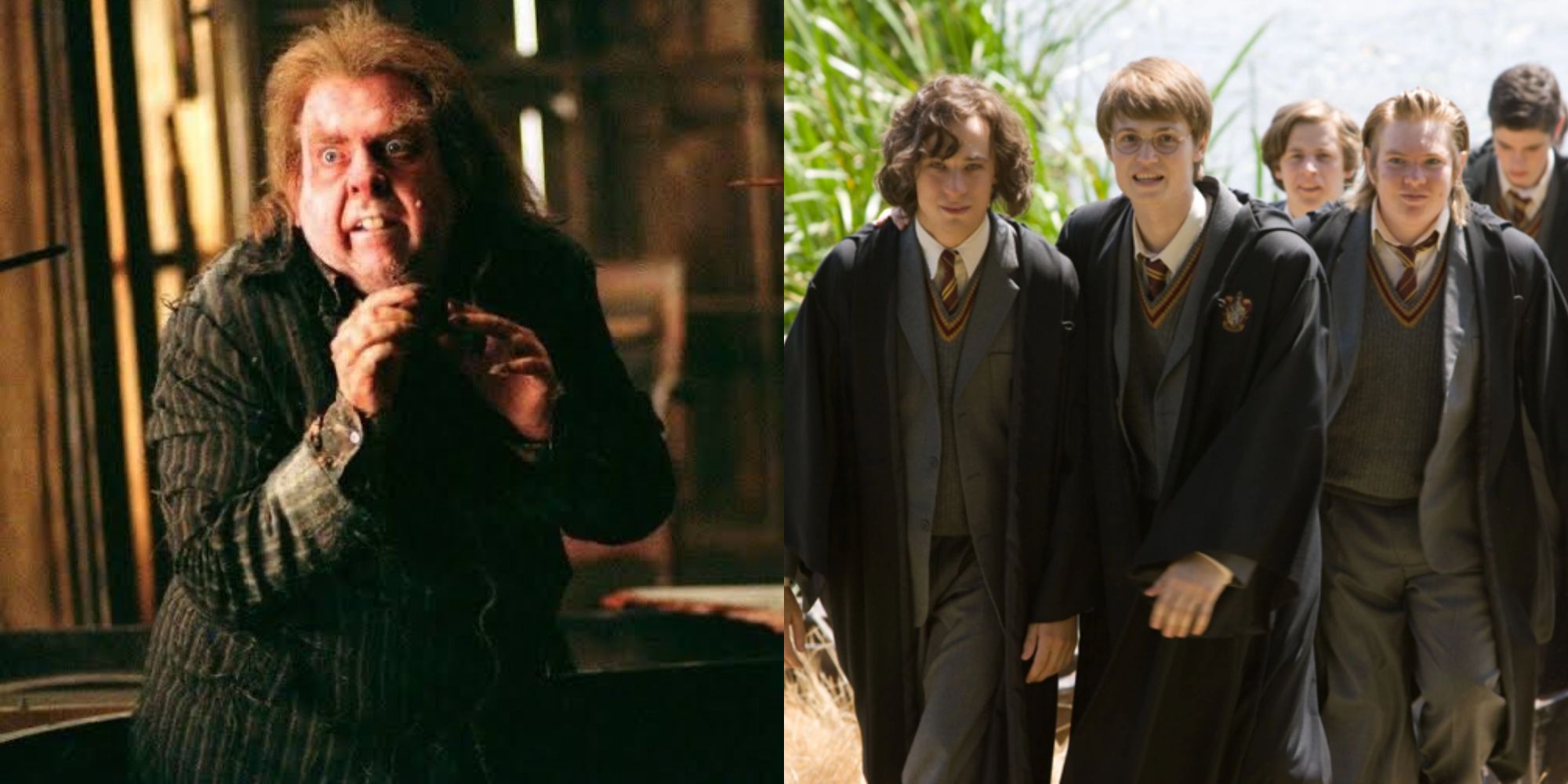 Peter Pettigrew Young