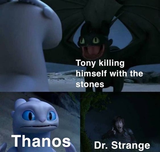 Meme on Tony's sacrifice at the end of Endgame. 
