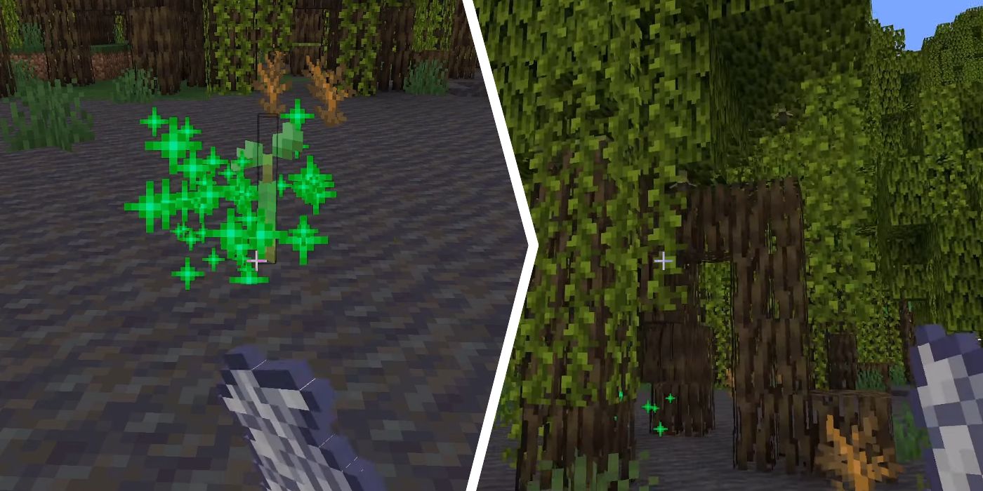 Mangrove Propagules in Minecraft planted in the ground next to an image of Mangrove Trees