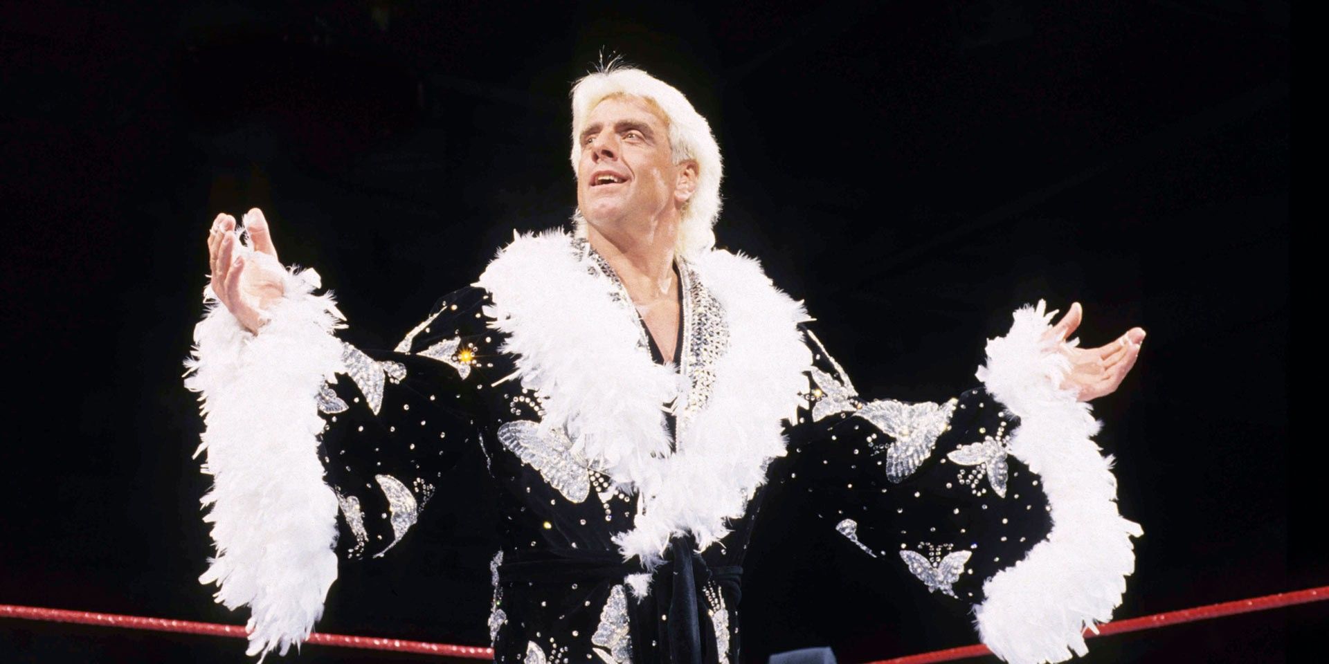 WWE Ric Flair robe