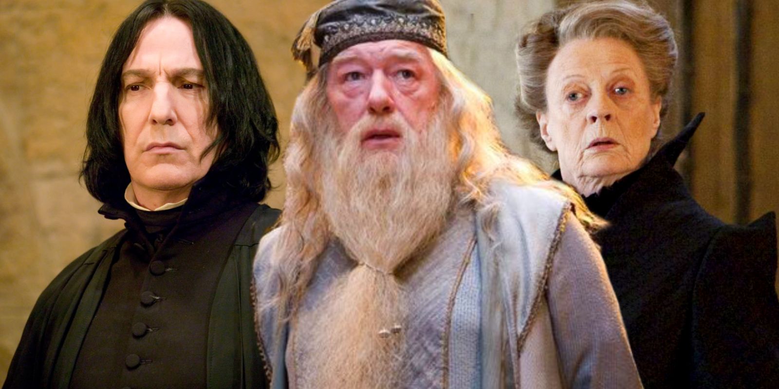 Harry Potter Dumbledore McGonagall Snape