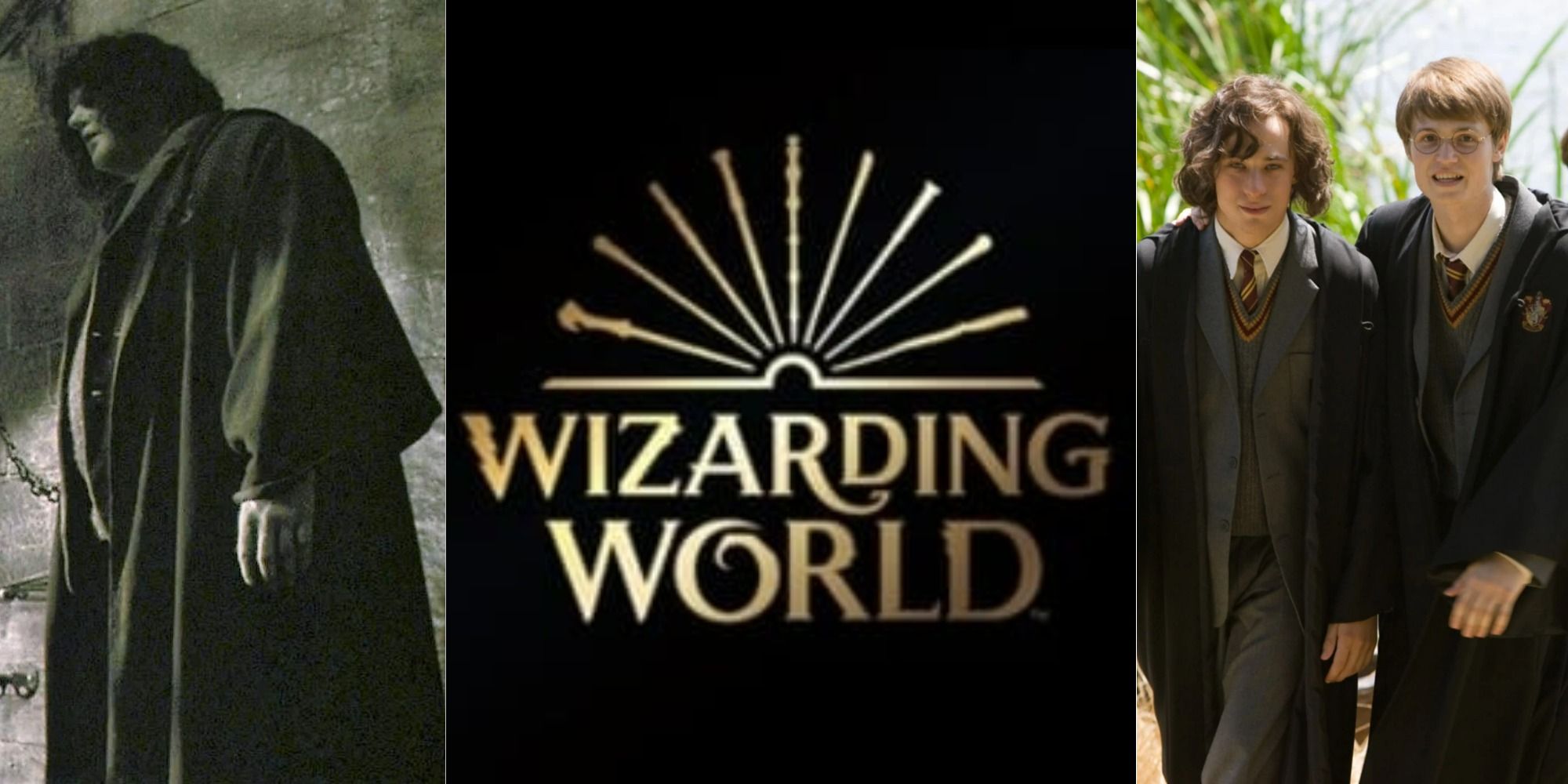 Harry Potter: 10 Spin-Offs Redditors Want To See