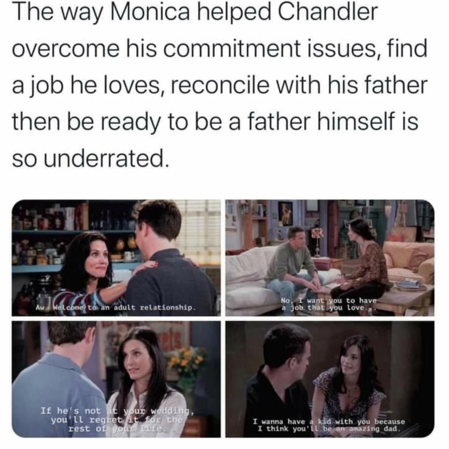 Chandler and Monica's relationship in a meme. 