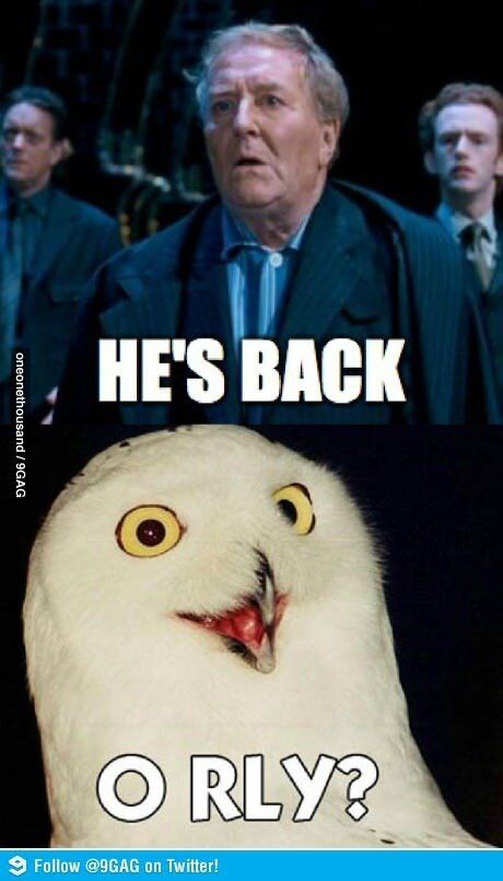 Harry Potter: 10 Memes That Sum Up The Order Of The Phoenix