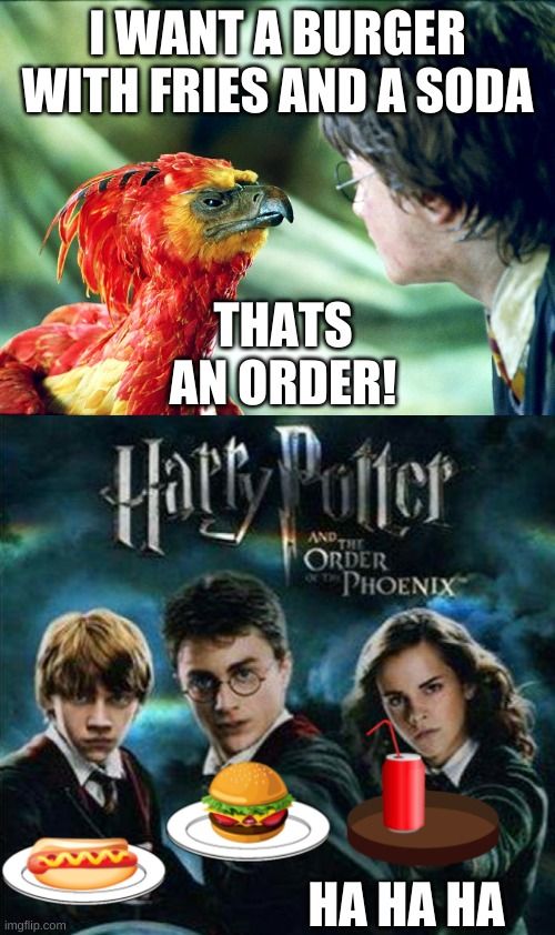 Harry Potter: 10 Memes That Sum Up The Order Of The Phoenix