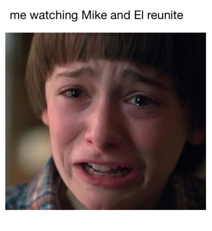 Stranger Things: 10 Memes That Perfectly Sum Up Mike As A Character