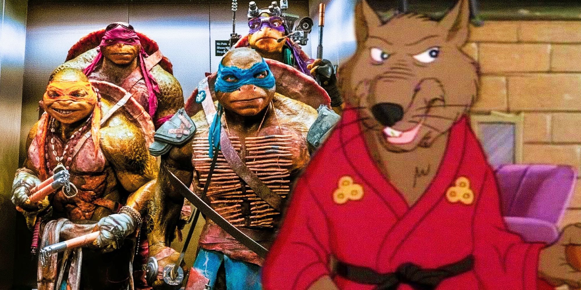 wild tmnt theory reveals the secret meaning of the turtles' weapons