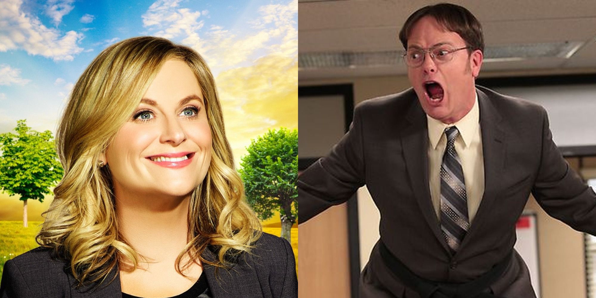 Split image of Amy Poehler in Parks and Recreation and Rainn Wilson in The Office