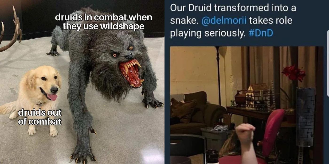 Two memes about Dungeons and Dragons Druids