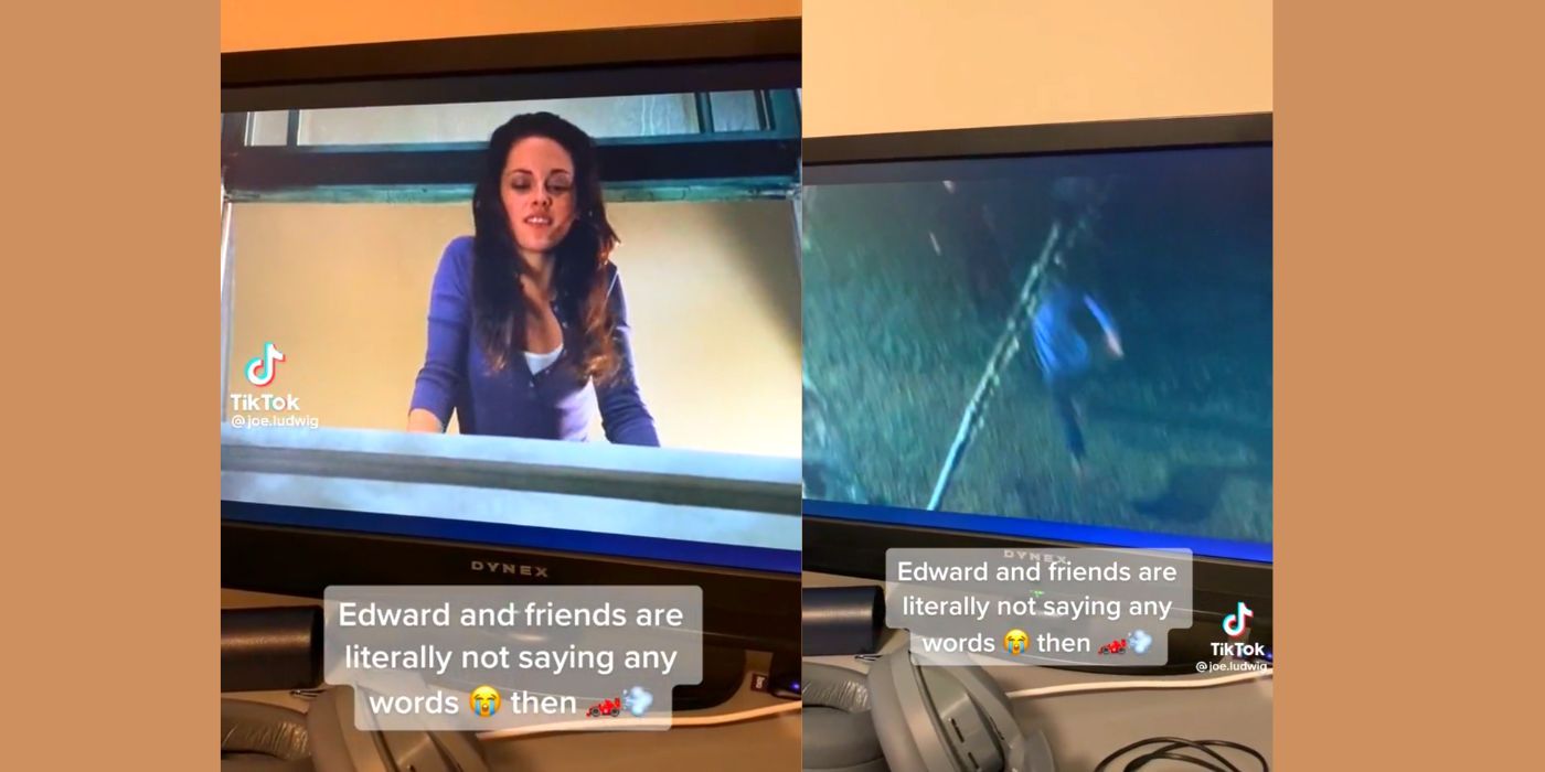 A clip of Bella smiling down at the Cullen brothers goofing off and zooming away