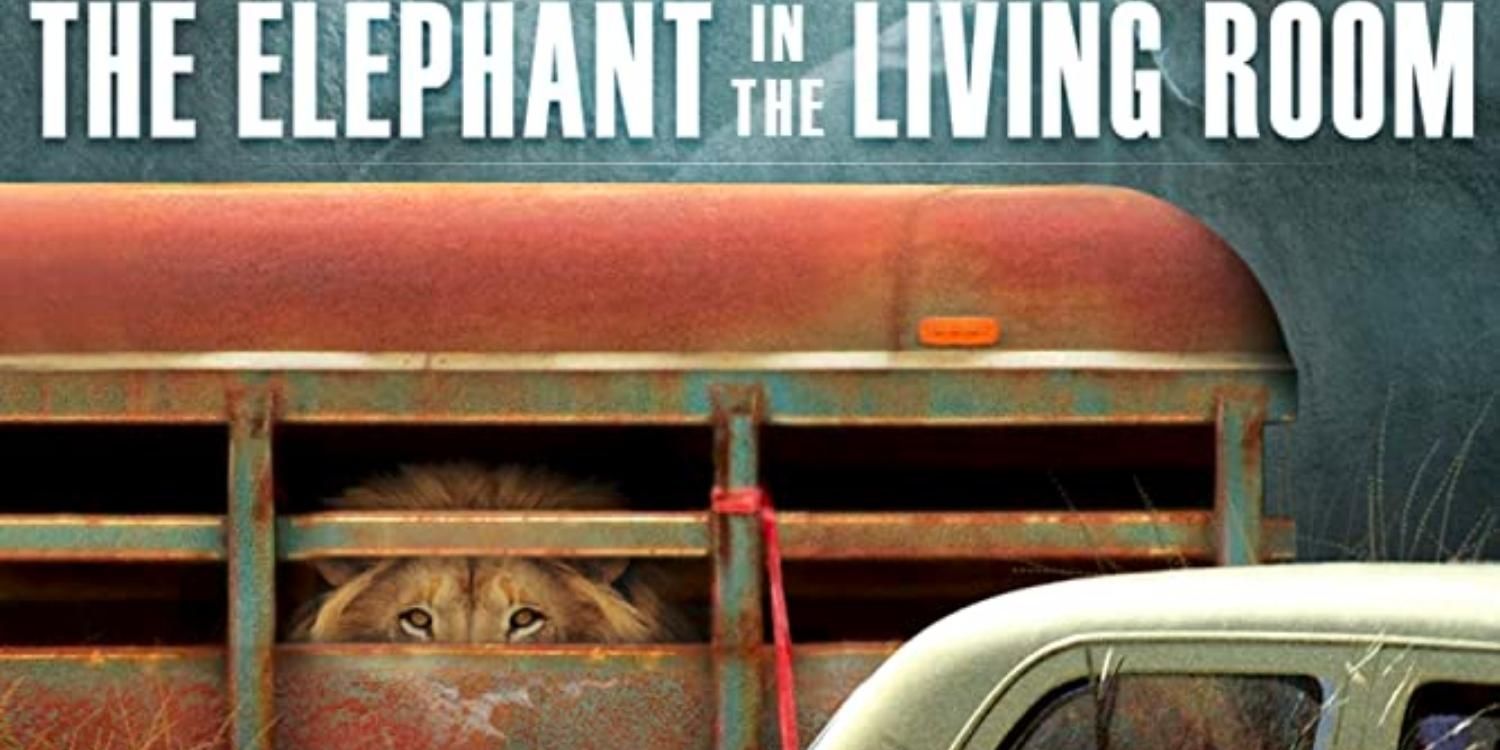 A lion peeking out of a trailer on a poster for Elephant in the Living Room