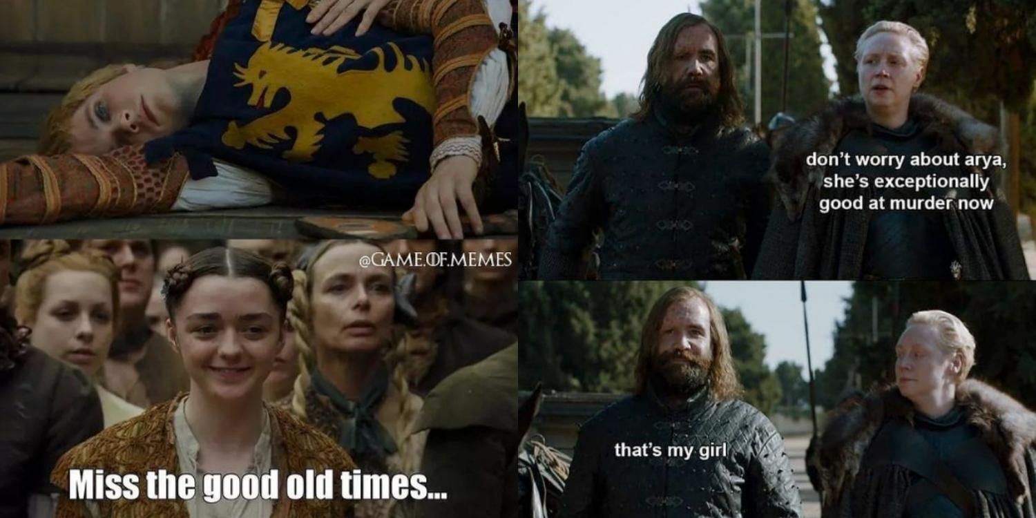 Game Of Thrones: 10 Memes That Perfectly Sum Up Arya As A Character