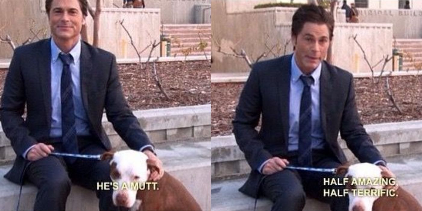 A split image of Chris Traeger and Champion from Parks and Rec