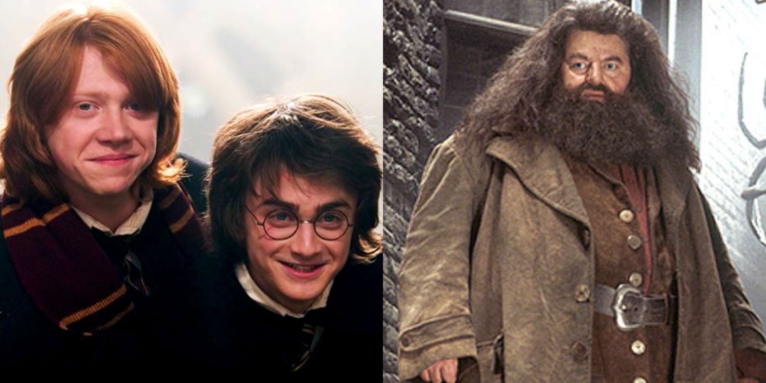 A split image of Harry and Ron smiling and Hagrid looking serious