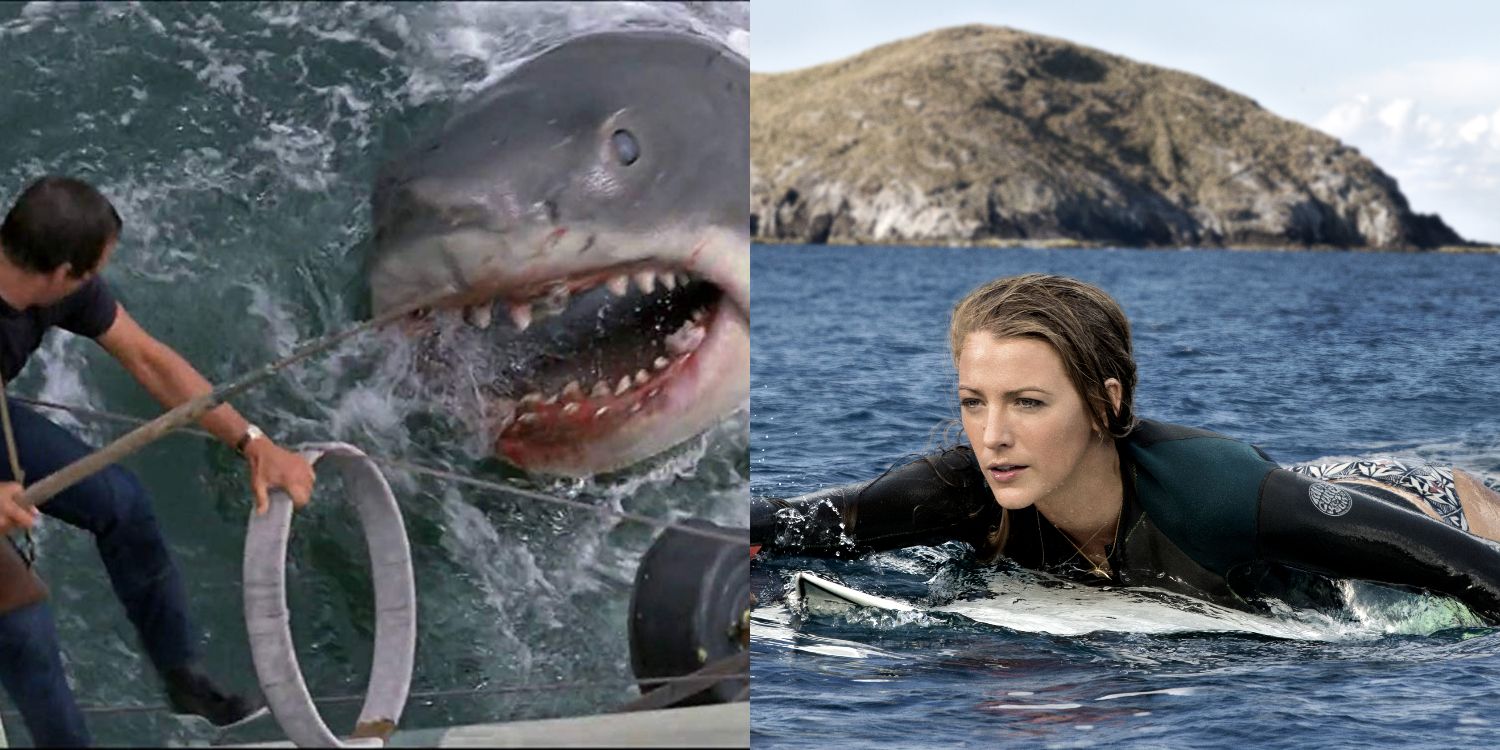 A split image of the characters fighting a shark and a woman surfing in the water