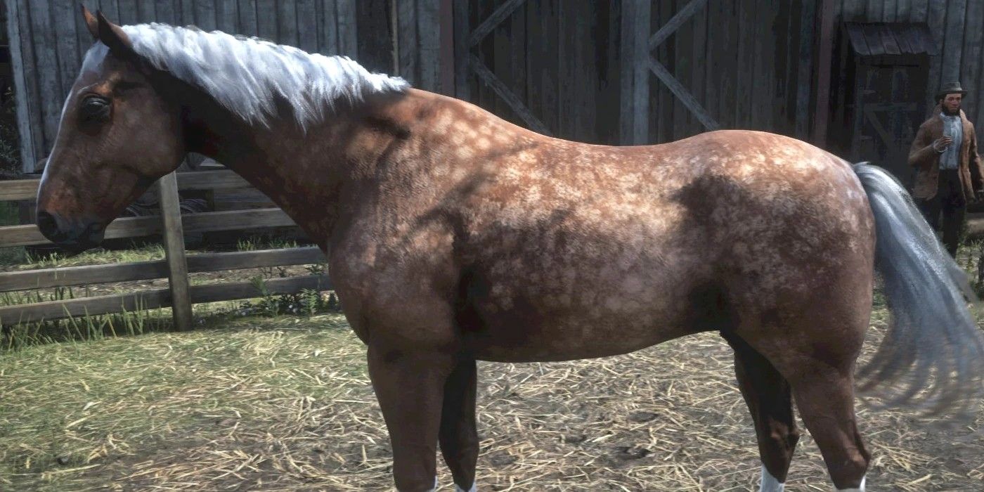 Best Horses You Can Get For Free In RDR2, Ranked