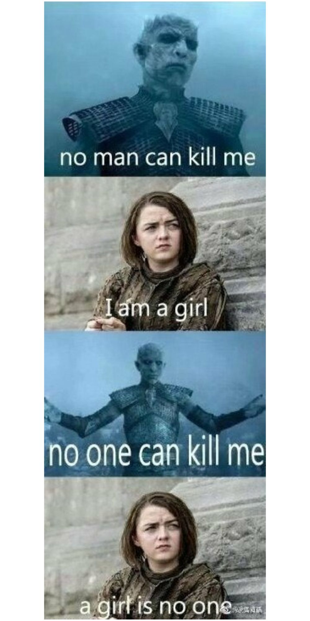 Arya Kills The Night King