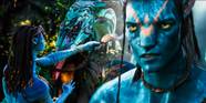 Avatar How The Na vi Bond With Pandora s Wildlife