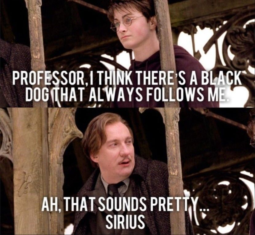 A Meme showing Harry talking to lupin with text saying&quot; Professor I think theres a black dog that always follows me&quot; and lupin saying&quot; ah, that sounds pretty...Sirius.&quot; from Harry Potter
