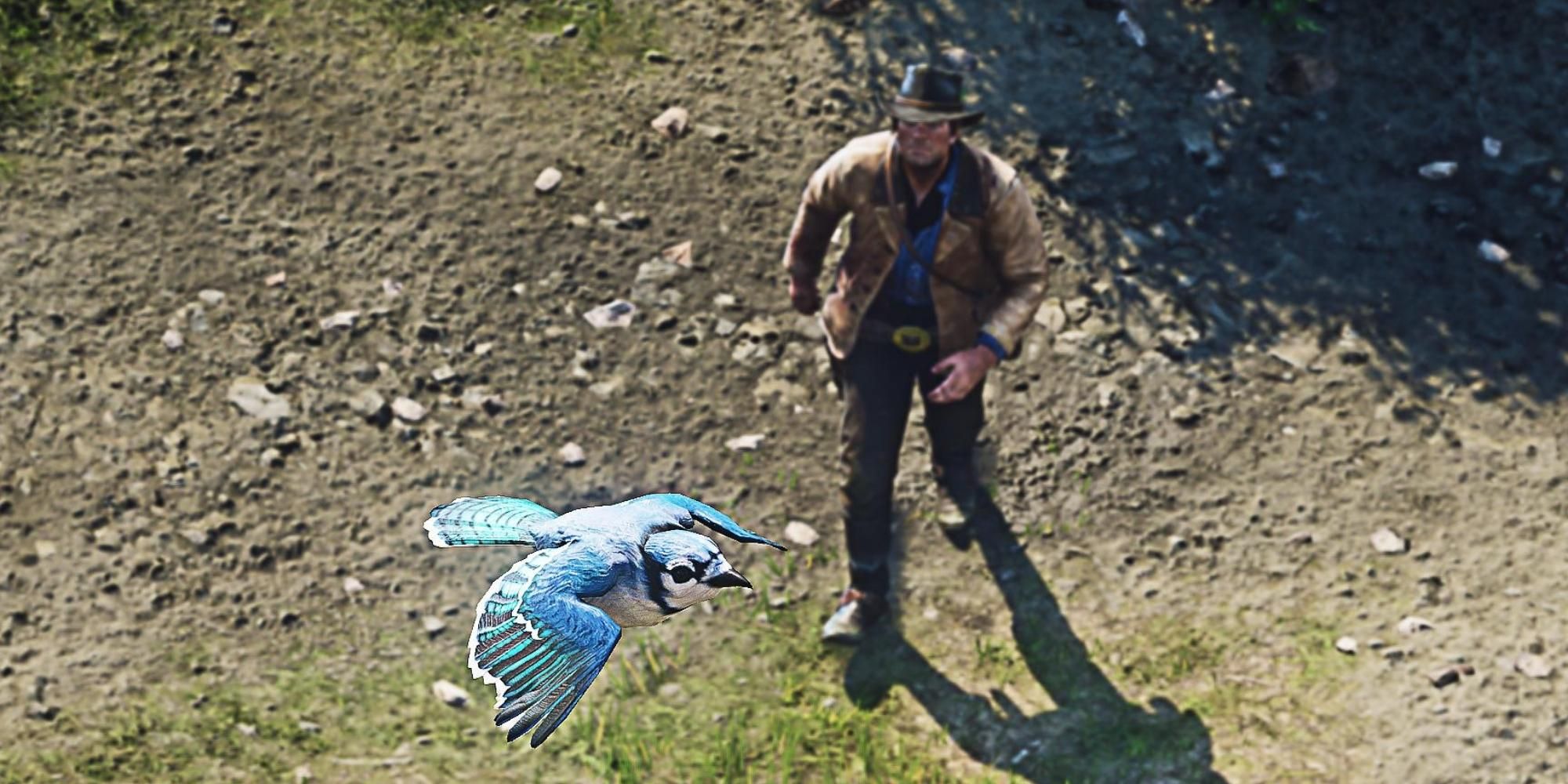An overhead shot with a blue jay and Arthur Morgan in RDR2