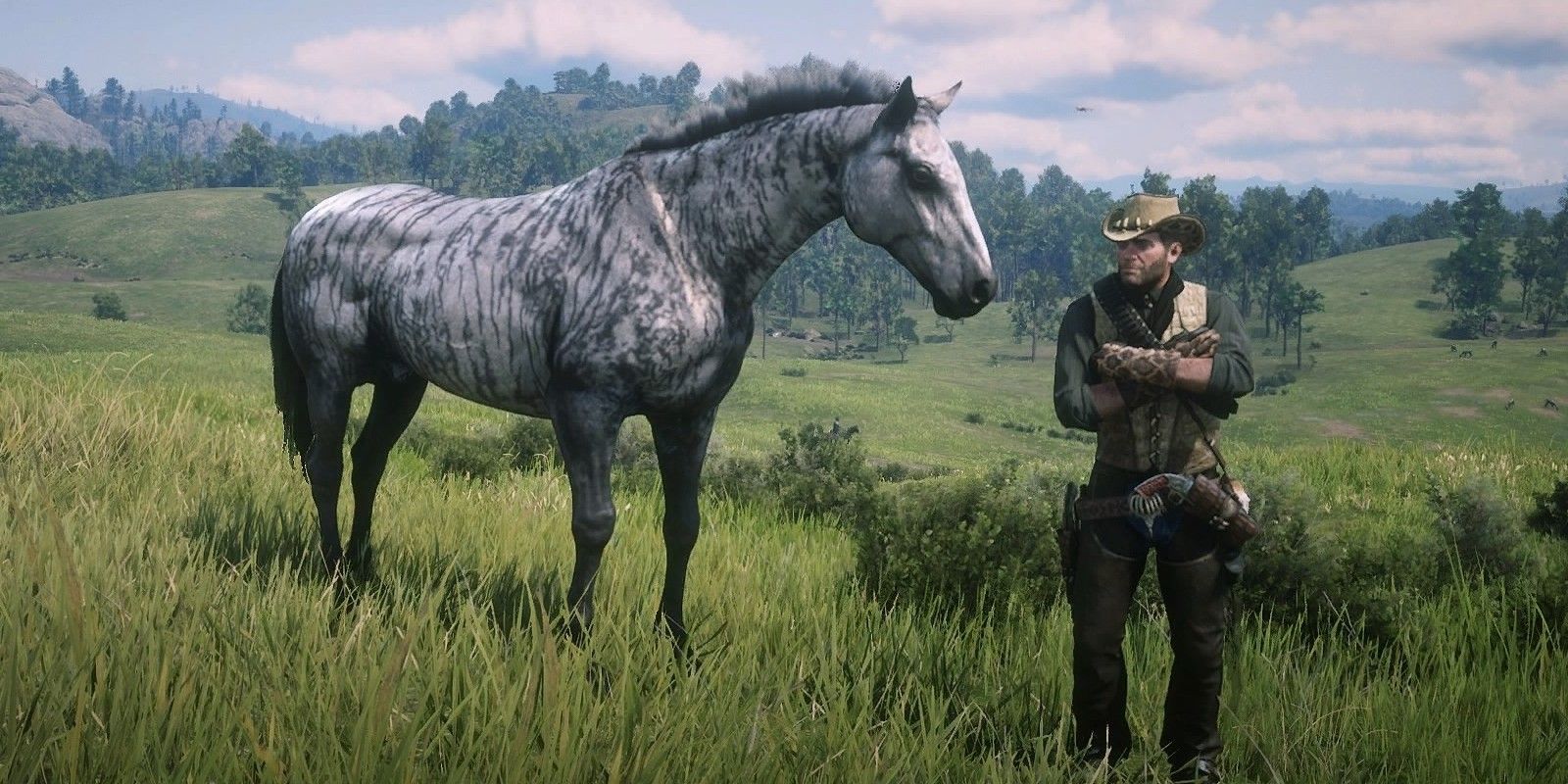 Best Horses You Can Get For Free In RDR2, Ranked